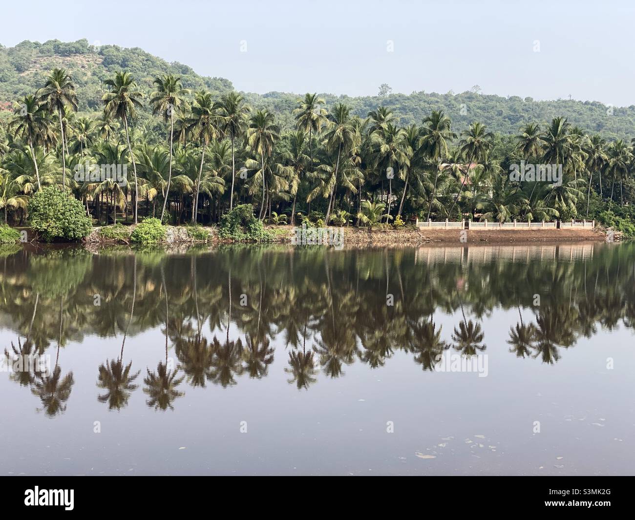 Reflection of coconut trees in a river Stock Photo