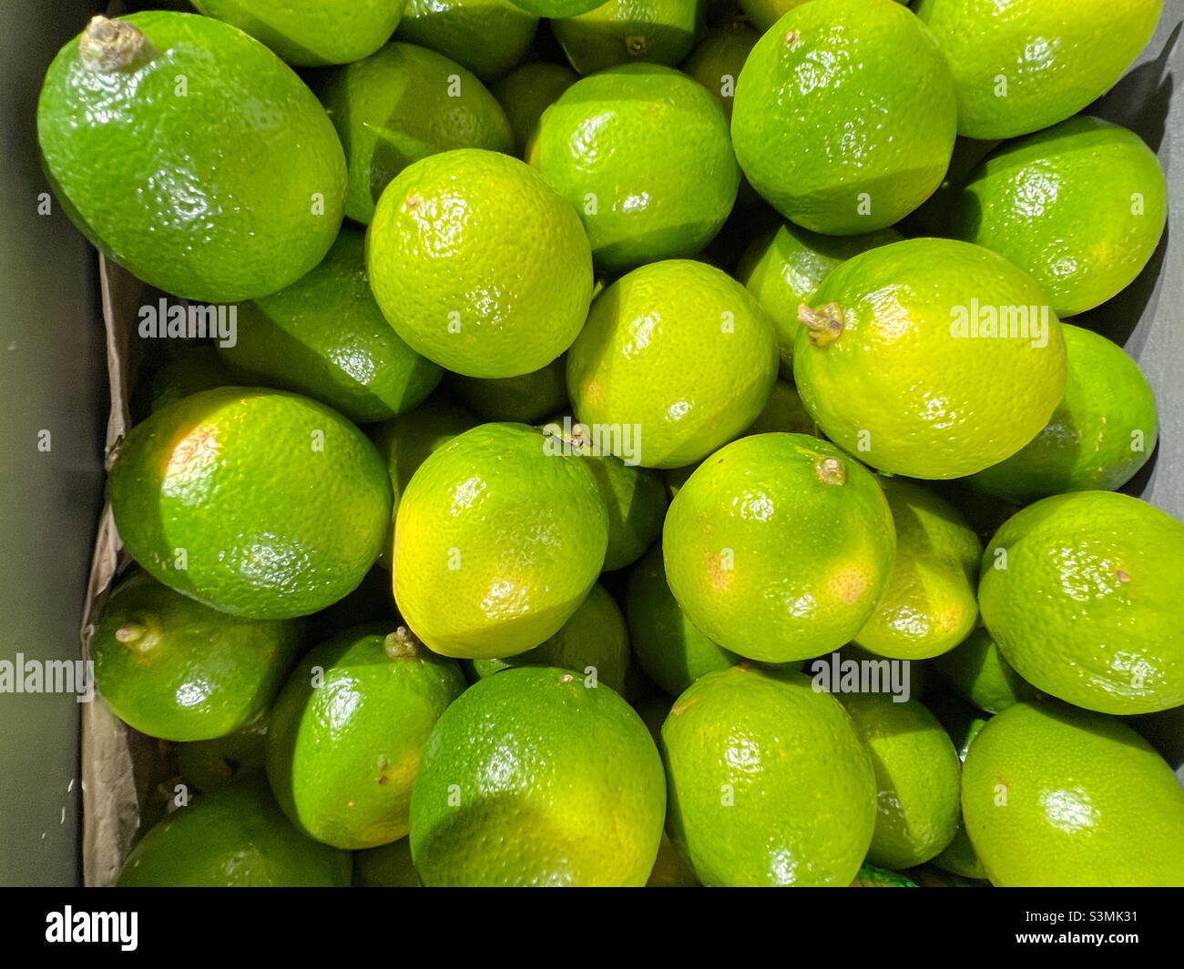 Green limes - Smartphone Captured Stock Image
