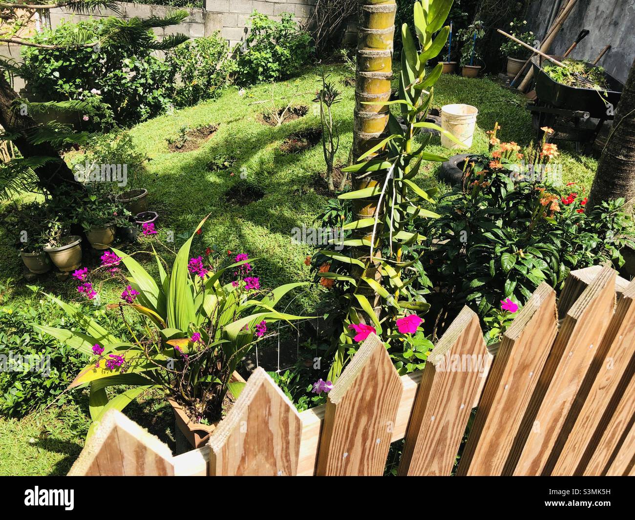 Tropical garden with picket fence Stock Photo
