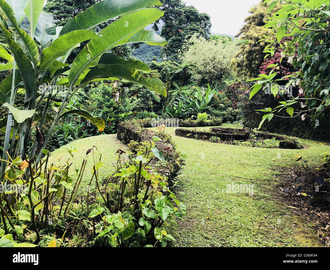 Lush green garden lawn hi-res stock photography and images - Alamy