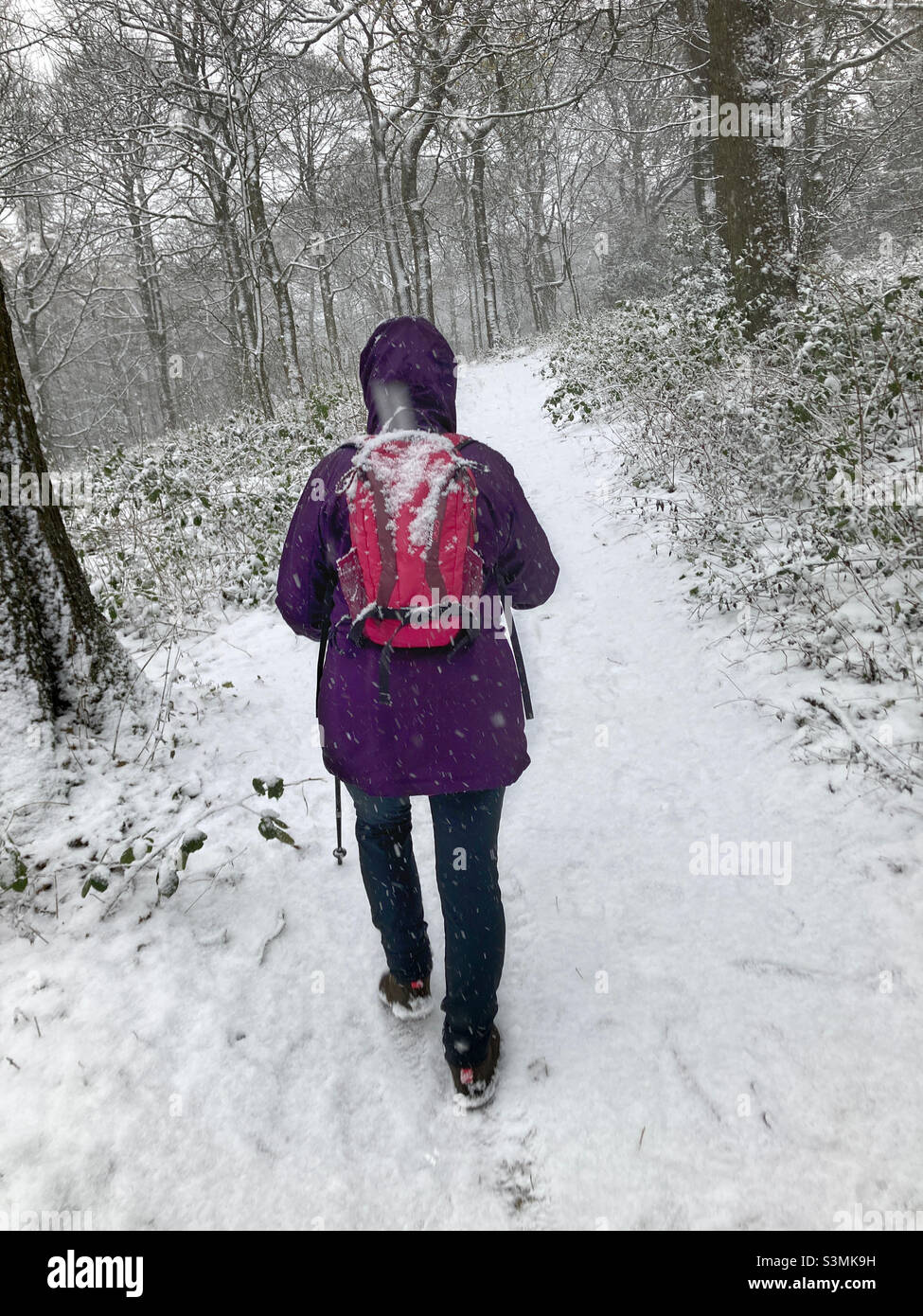 Woman walking in the snow on The Chevin Otley West Yorkshire Stock Photo