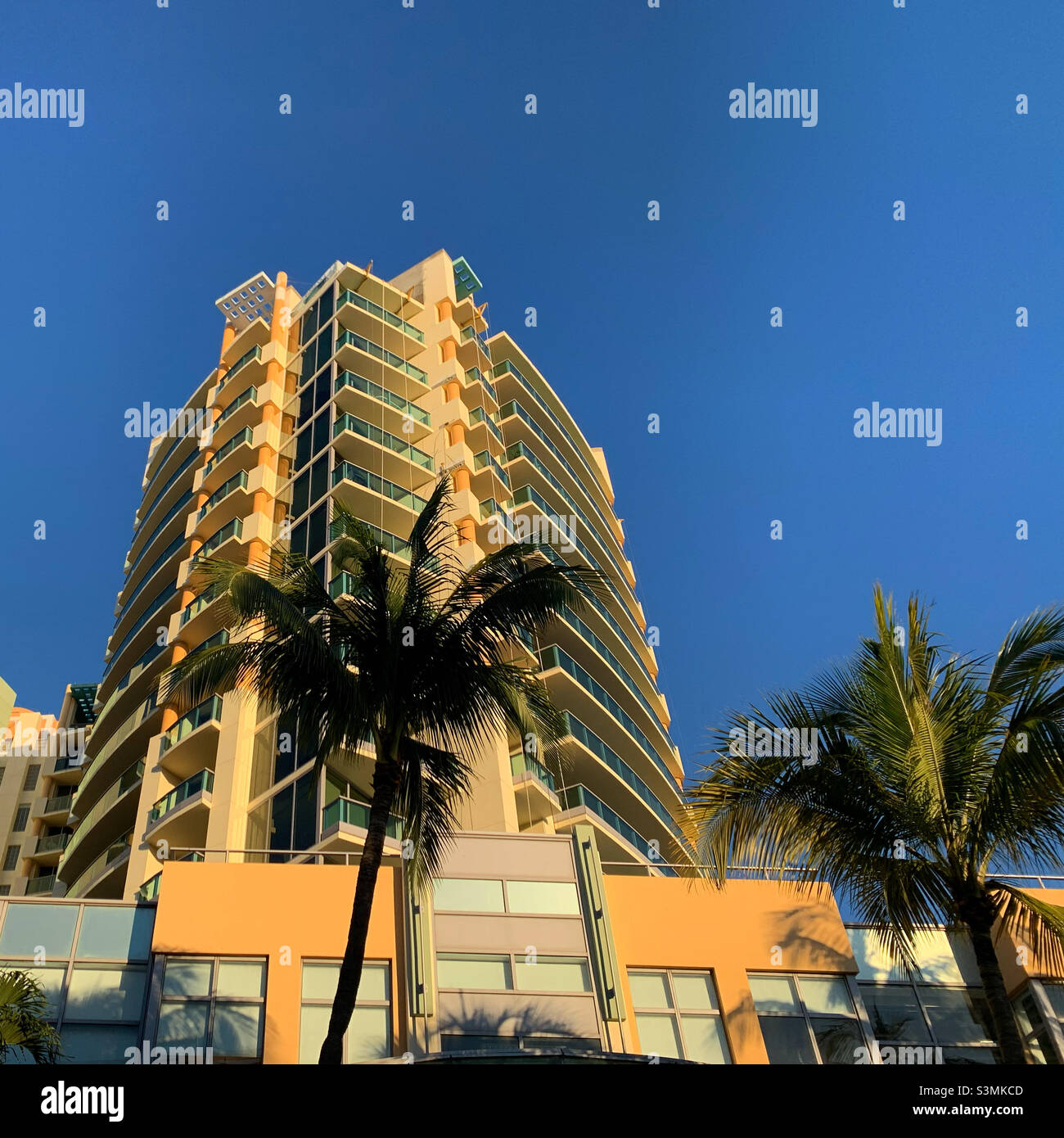 Buildings viewed from Collins Avenue, South Beach, Miami Beach, Miami-Dade County, Florida, United States, North America - Smartphone Captured Stock Image