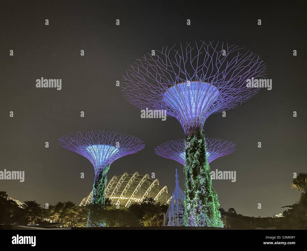 Singapore gardens by the bag super trees light up Stock Photo
