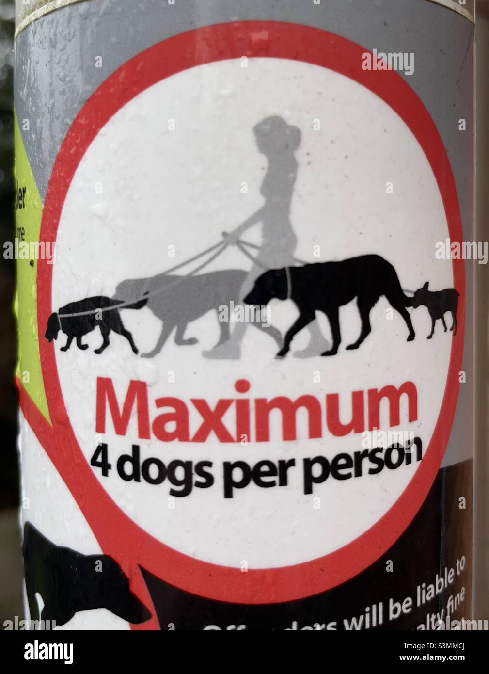 A sticker prohibiting dog walking with more than four dogs by Worcester city council Stock Photo