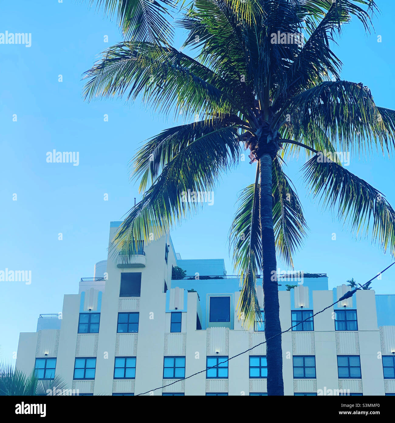 December, 2021, Palm tree and architecture, South Beach, Miami Beach, Florida, United States, North America - Smartphone Captured Stock Image