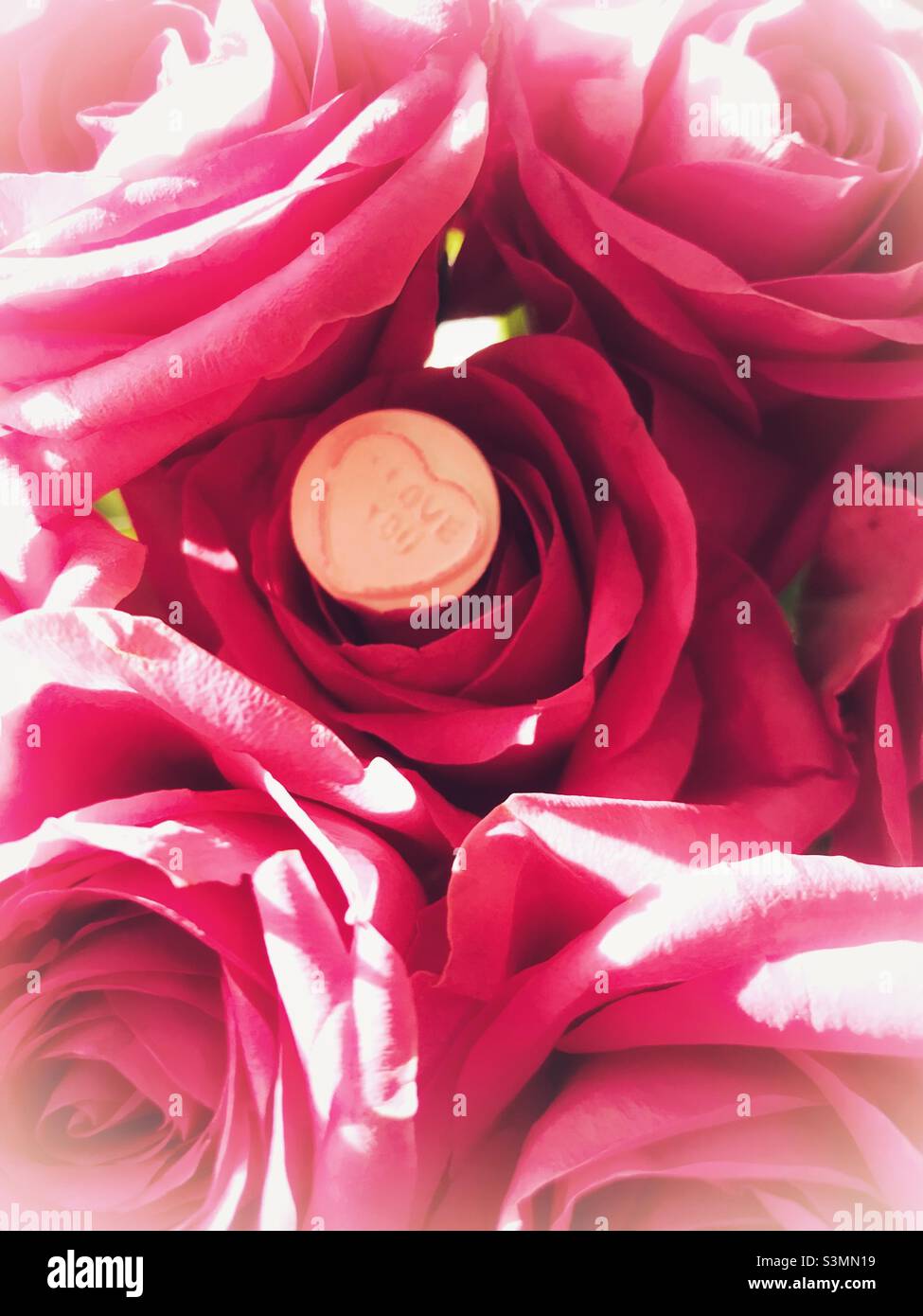 I love flowers hi-res stock photography and images - Alamy I love flowers hi-res stock photography and images - Alamy