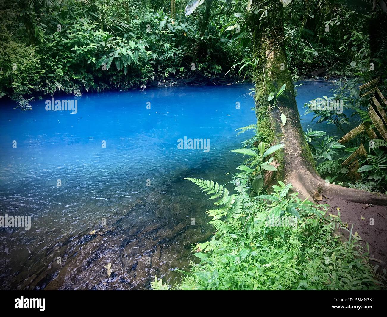 Green blue river hi-res stock photography and images - Alamy