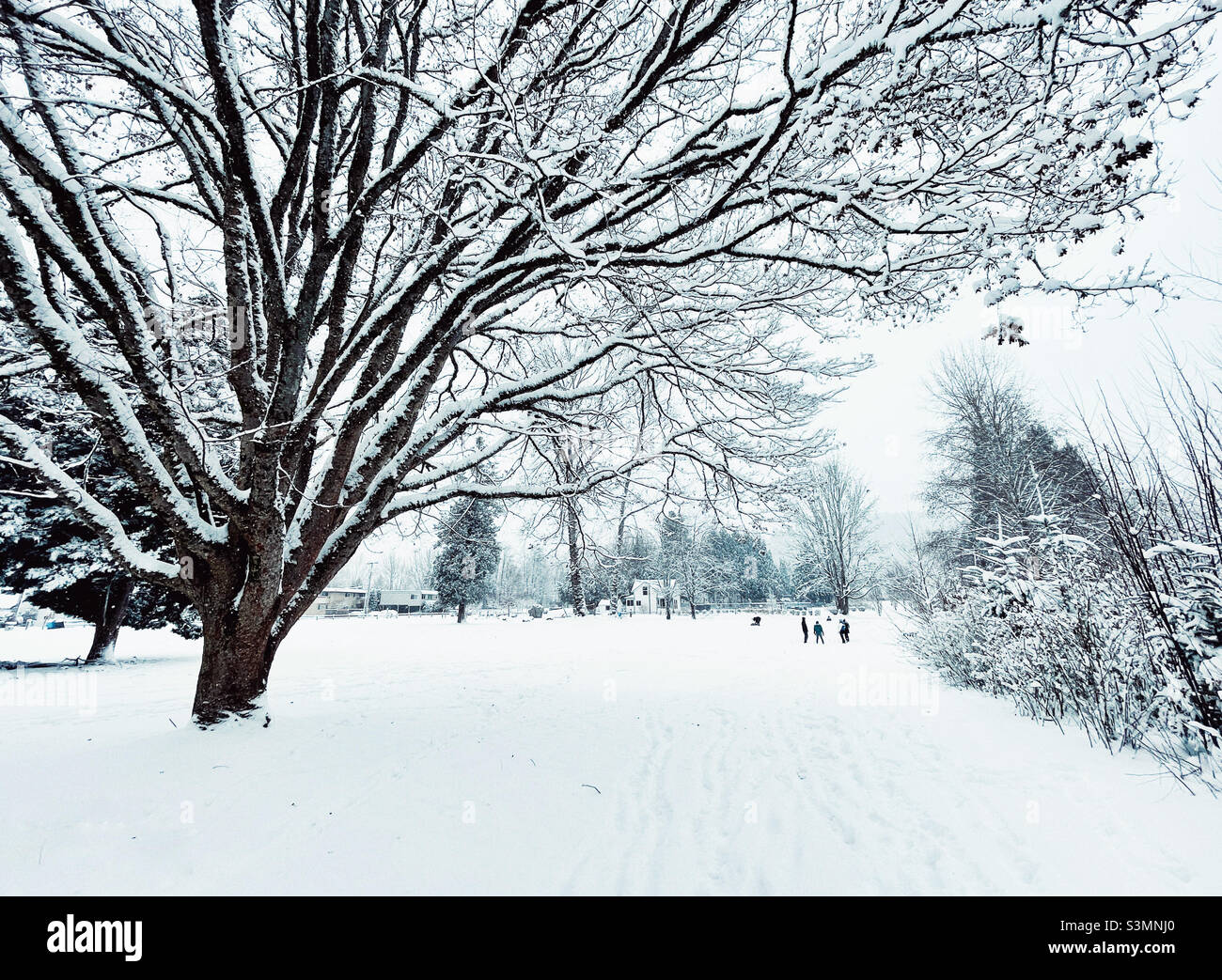 Issaquah Confluence Park under snow Stock Photo