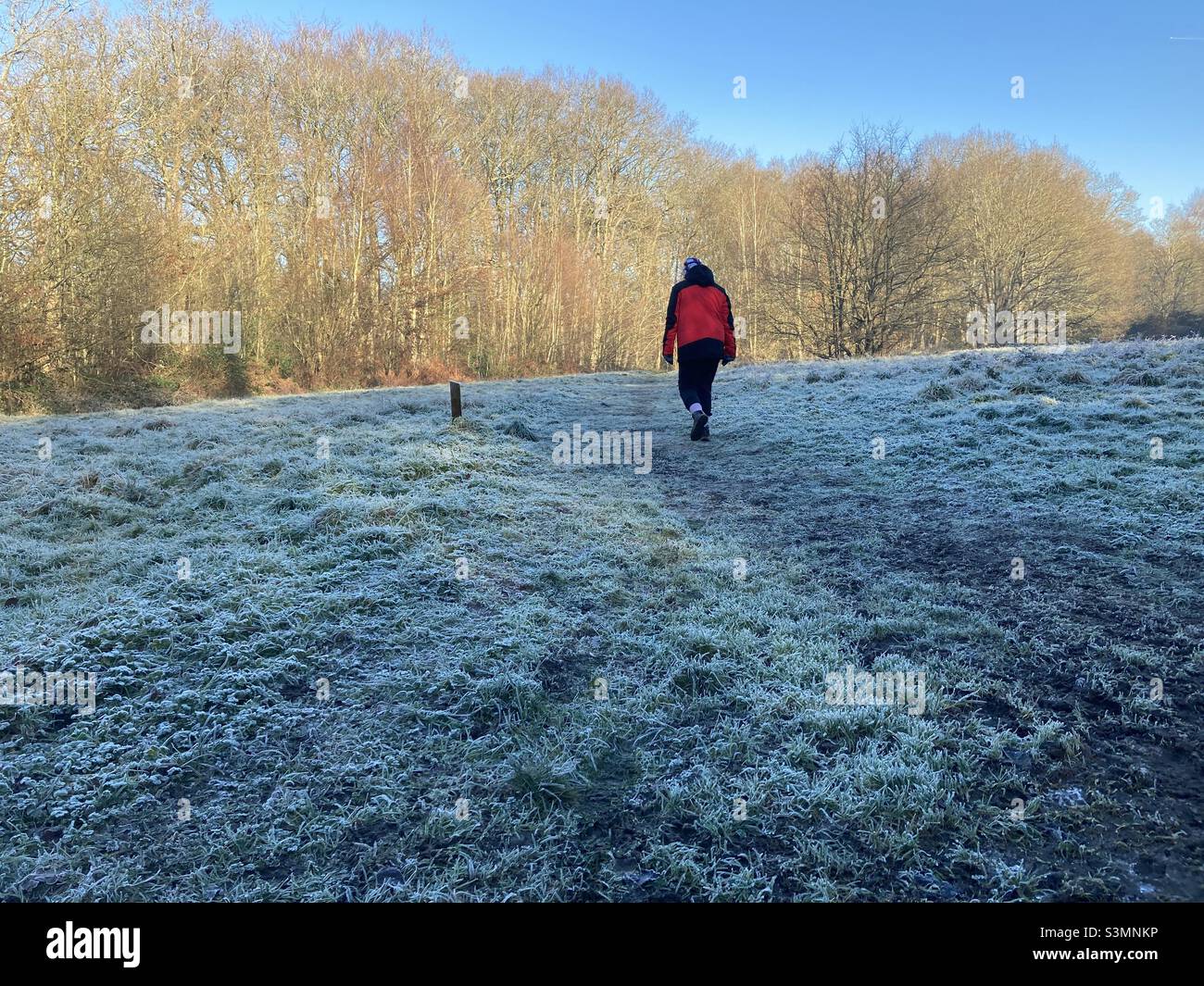 Rear view of one person walking across frosty field - Smartphone Captured Stock Image