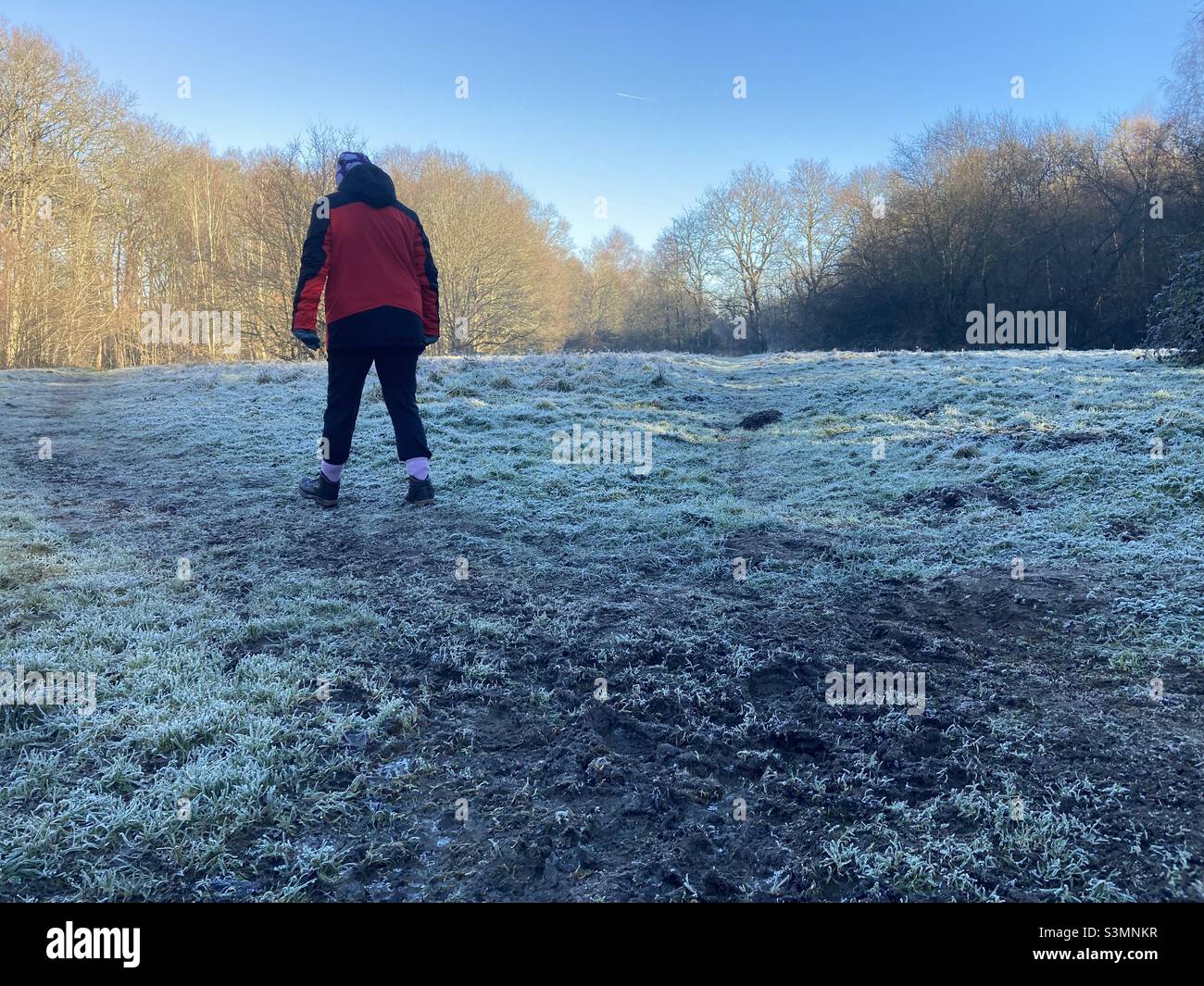 Rear view of woman walking across frosty field - Smartphone Captured Stock Image
