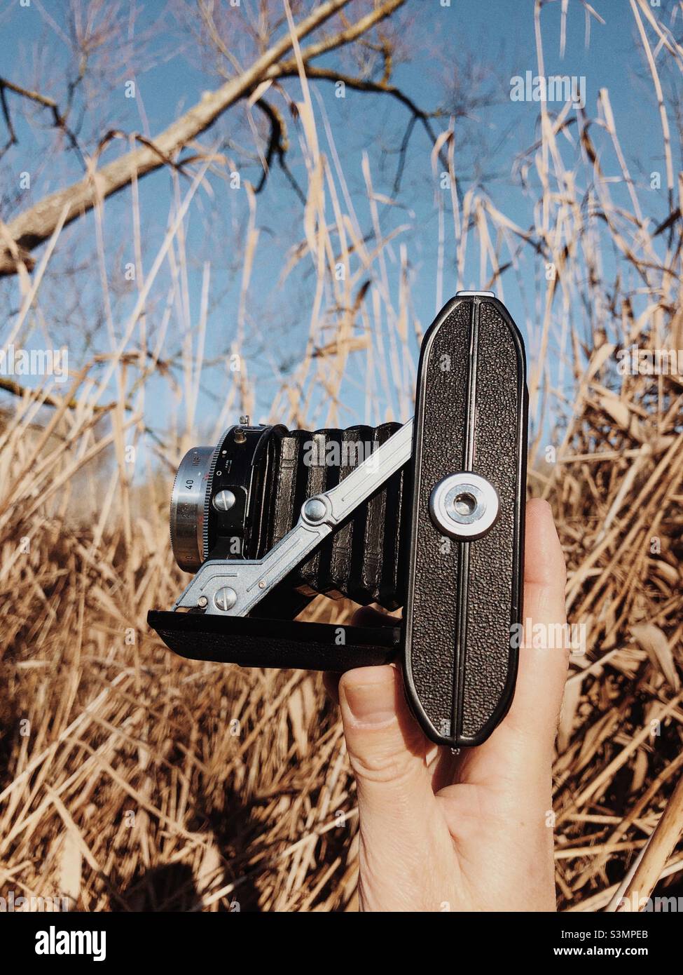Taking pictures with a vintage folding camera - Smartphone Captured Stock Image