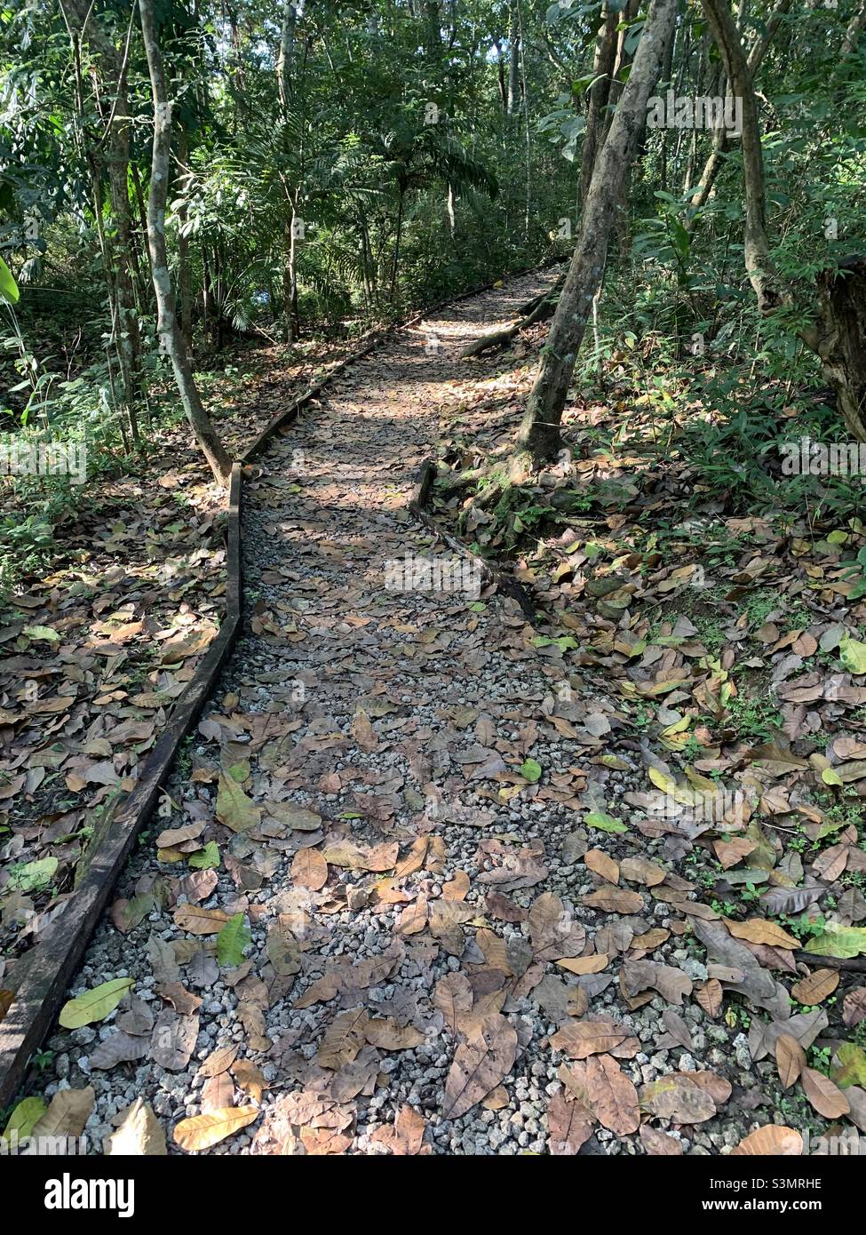 Metropolitan nature reserve leafy path Stock Photo