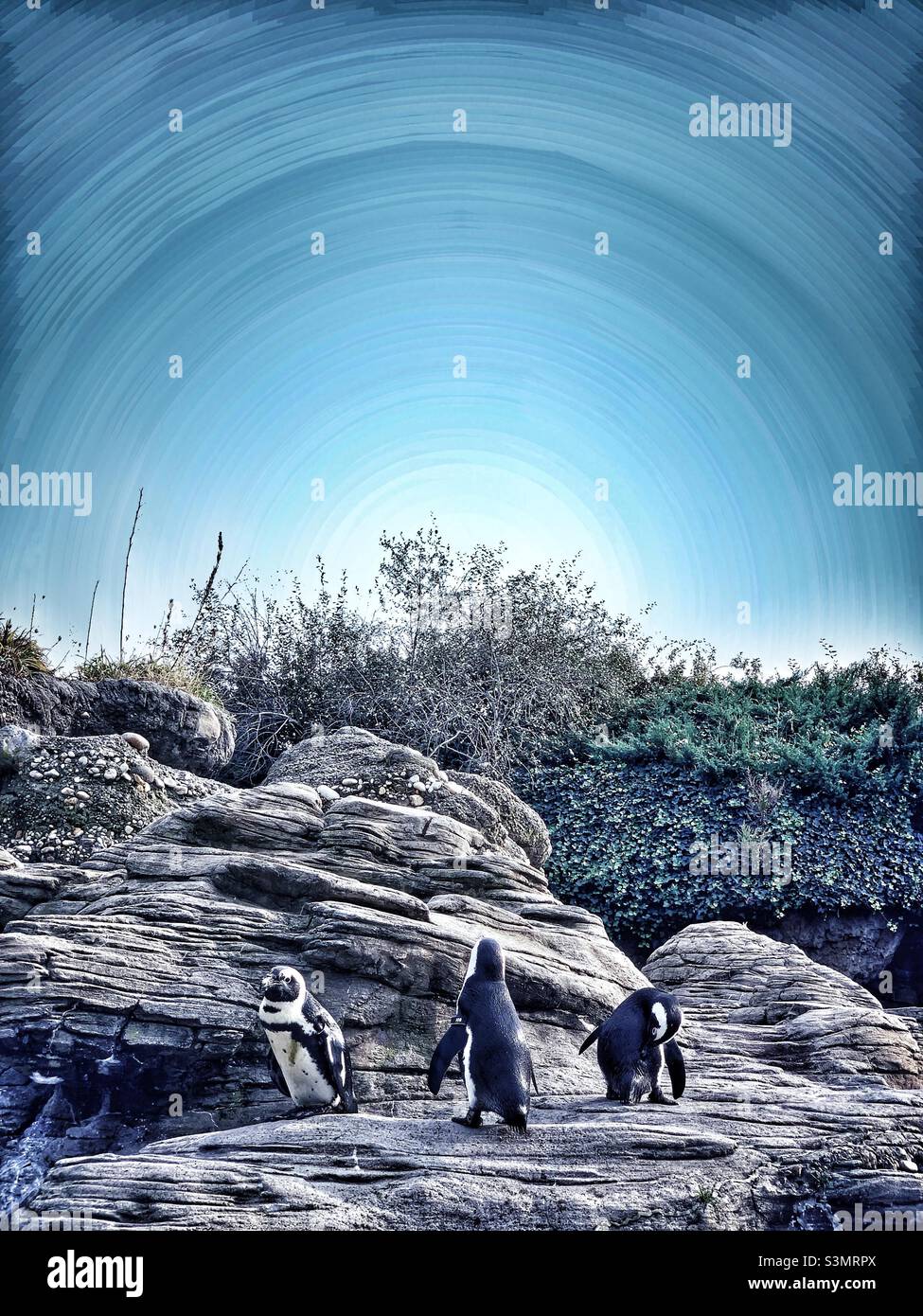 Happy feet - Smartphone Captured Stock Image