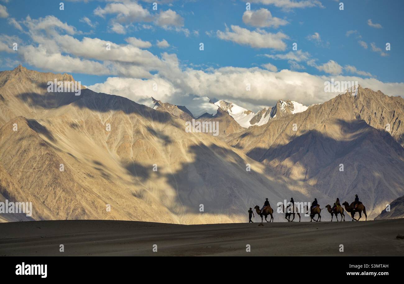 A Camel Safari in trans Himalayan desert in Hunder, Ladakh, India Stock Photo