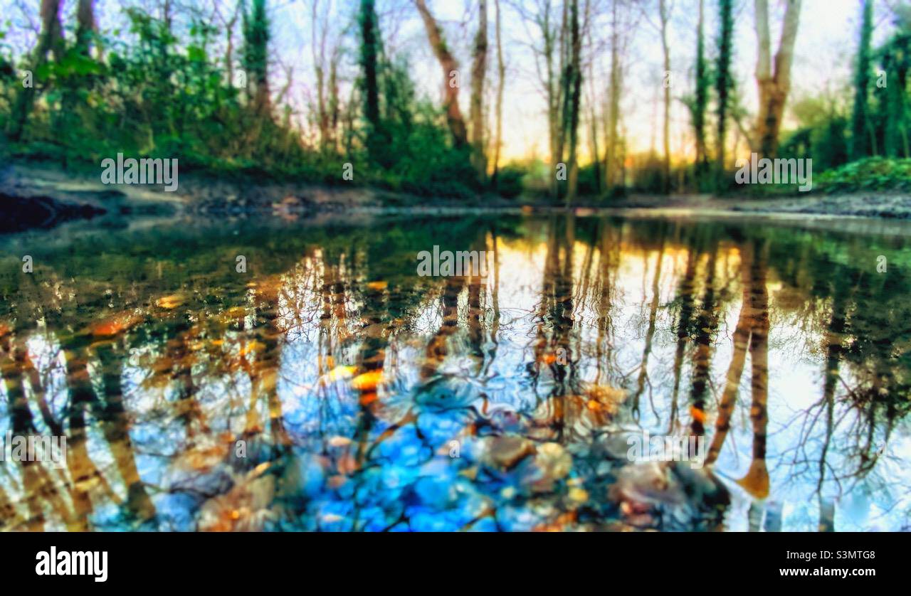 Woodland reflections in a Kentish stream. - Smartphone Captured Stock Image