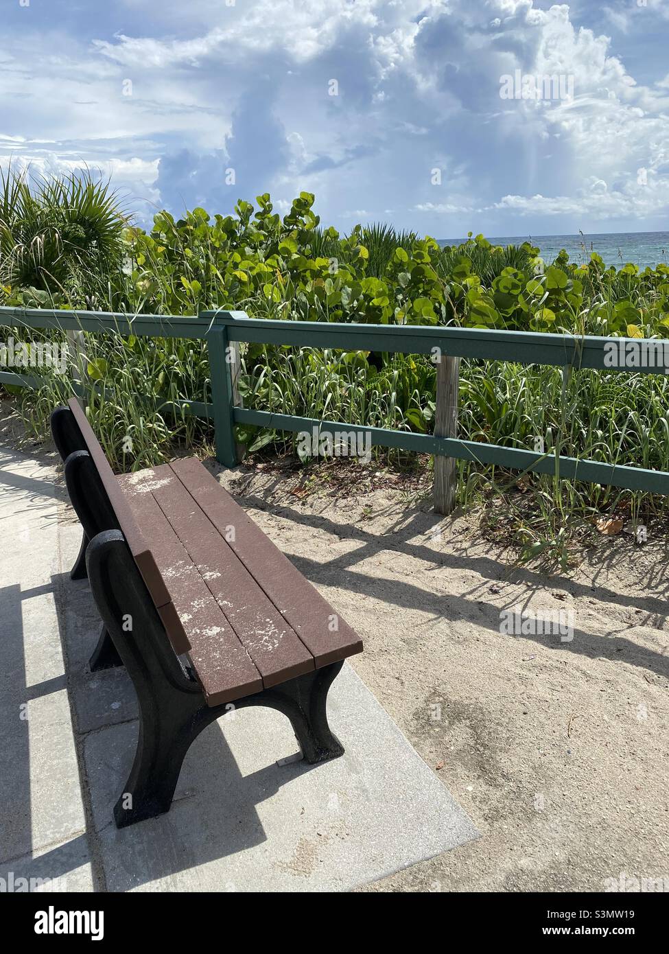 A sandy bench along the ocean in Lake Worth Beach, Florida. - Smartphone Captured Stock Image