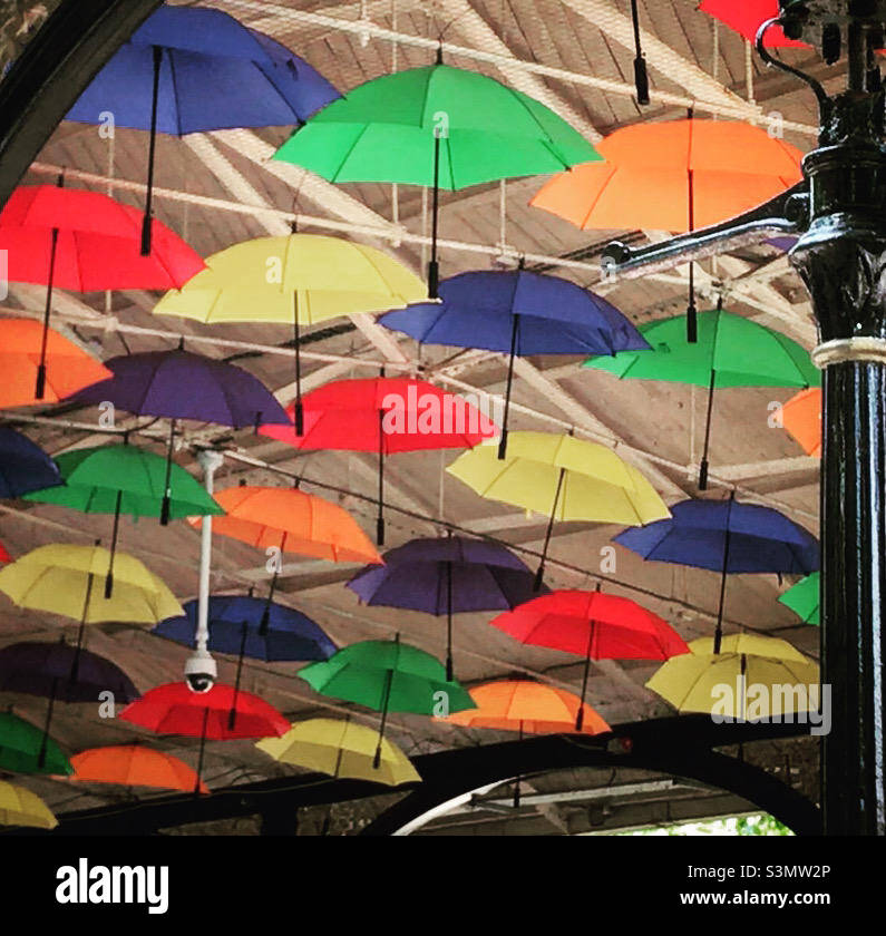 Colourful umbrellas suspended in roof space Stock Photo Alamy