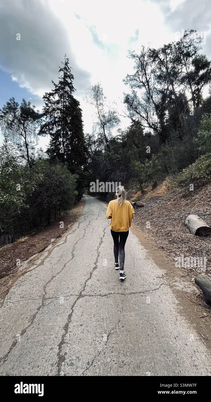Walking in the forest - Smartphone Captured Stock Image