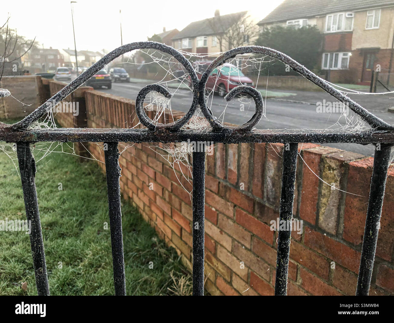 Cobwebs on a black iron gate, frozen by a morning frost. - Smartphone Captured Stock Image