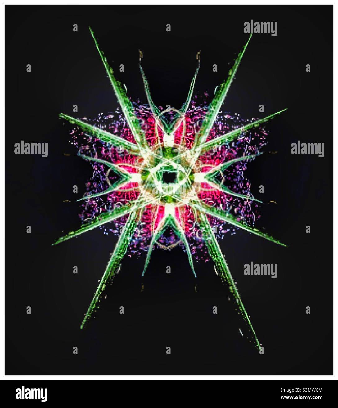 Digital design of flower images Stock Photo - Alamy