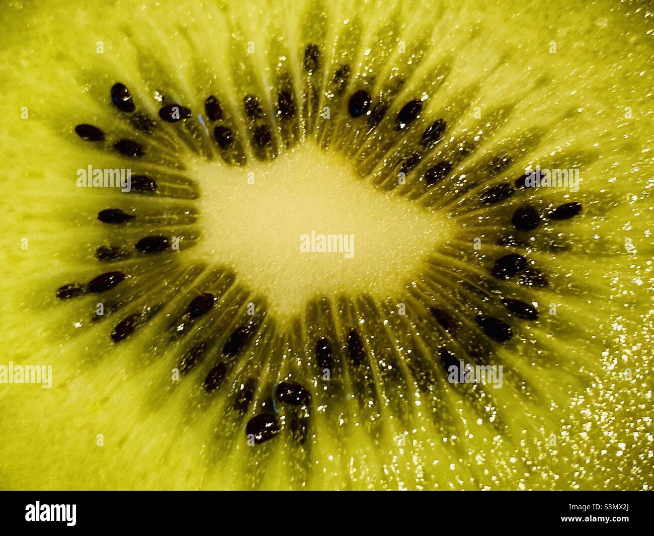 Kiwi fruit - Smartphone Captured Stock Image