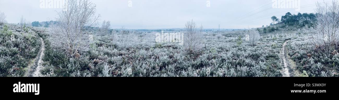 Lowland heath in winter panorama with frost and pylons Stock Photo