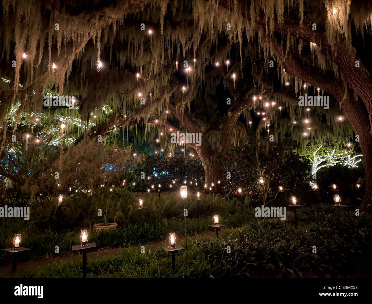 Brookgreen Gardens Nights of a Thousand Candles Oak trees and lighted