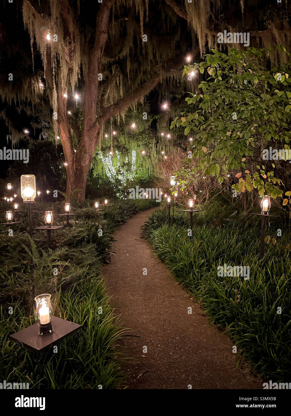 Brookgreen Gardens Nights of a Thousand Candles Oak trees and lighted