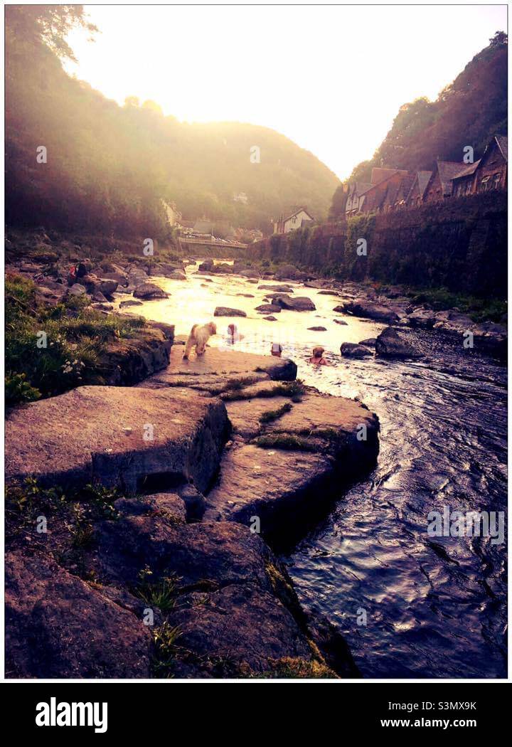 Family swimming in Lynmouth river Devon Dog Uk England - Smartphone Captured Stock Image