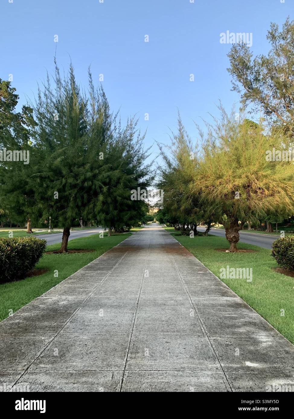 Havana’s 5th avenue -‘5ta Avenida’- pedestrian walkway. It was initially called ‘Avenida de las Americas’ and is an icon of Miramar neighbourhood in Havana, Cuba. - Smartphone Captured Stock Image