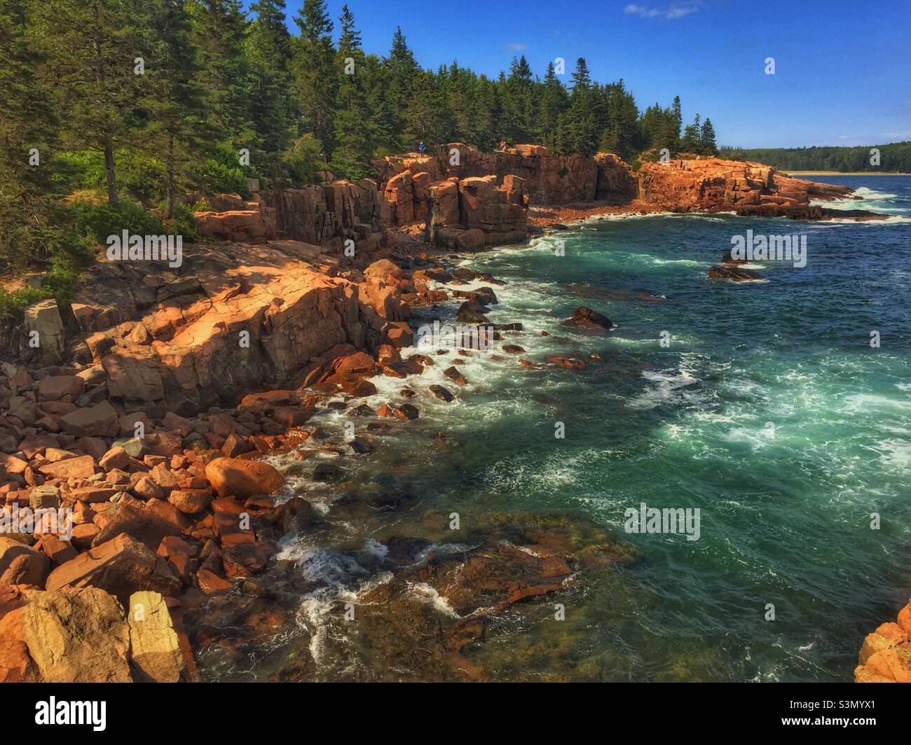 Rocky Shoreline of Mount Desert Island, Maine Stock Photo Alamy