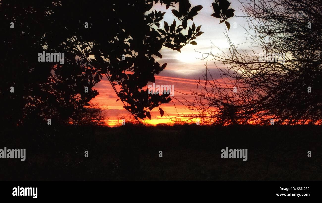 Norfolk sunrise Stock Photo