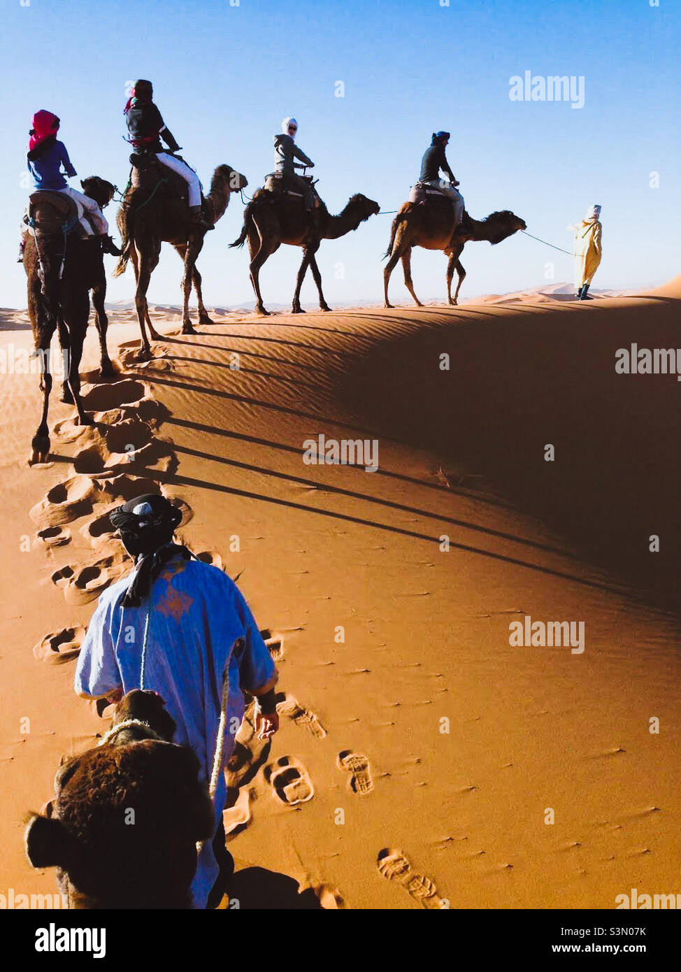 Camel train, Sahara desert, Morocco - Smartphone Captured Stock Image