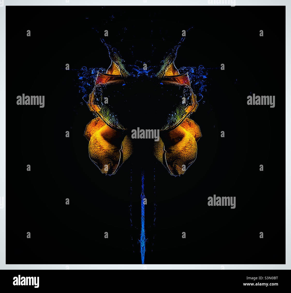 Strange flowers - Smartphone Captured Stock Image