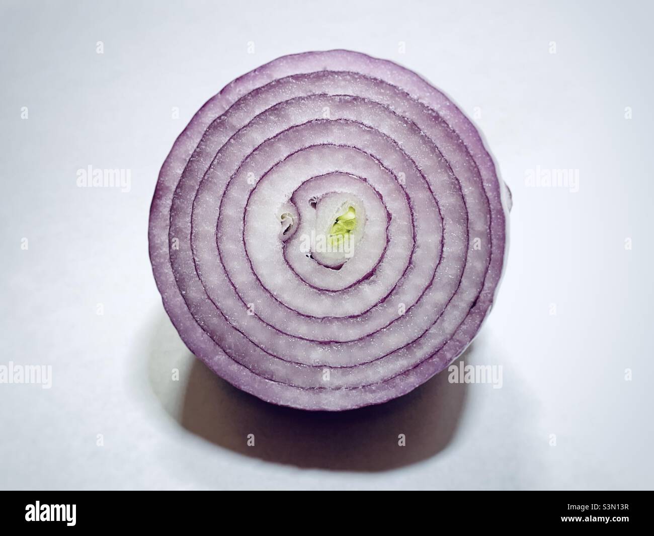 White onion pattern hi-res stock photography and images - Alamy