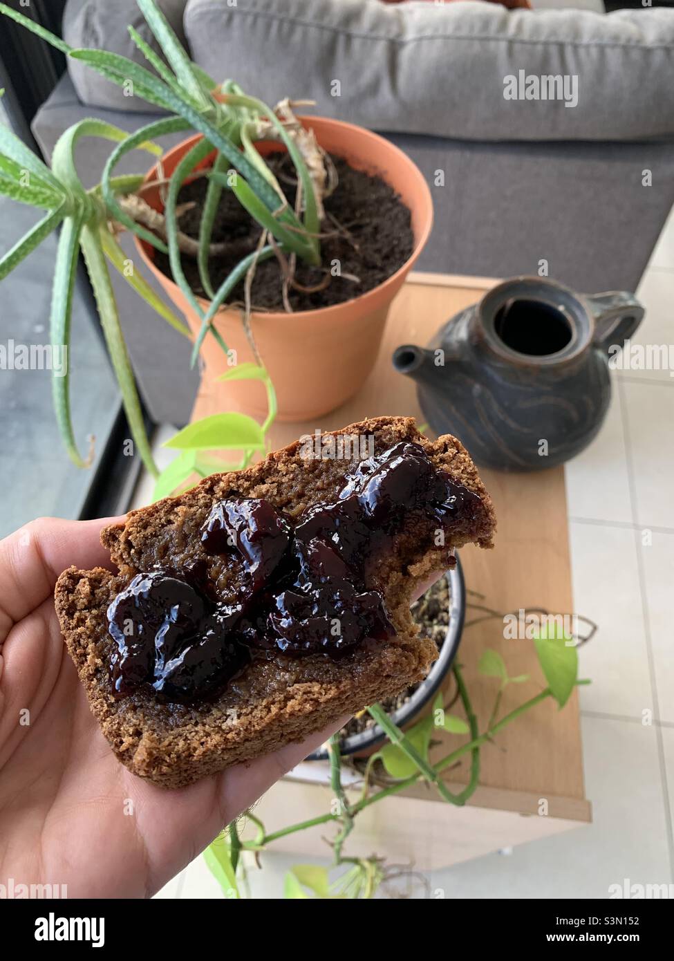 Vegan gluten free spice bread soaked in maple syrup with black cherry
