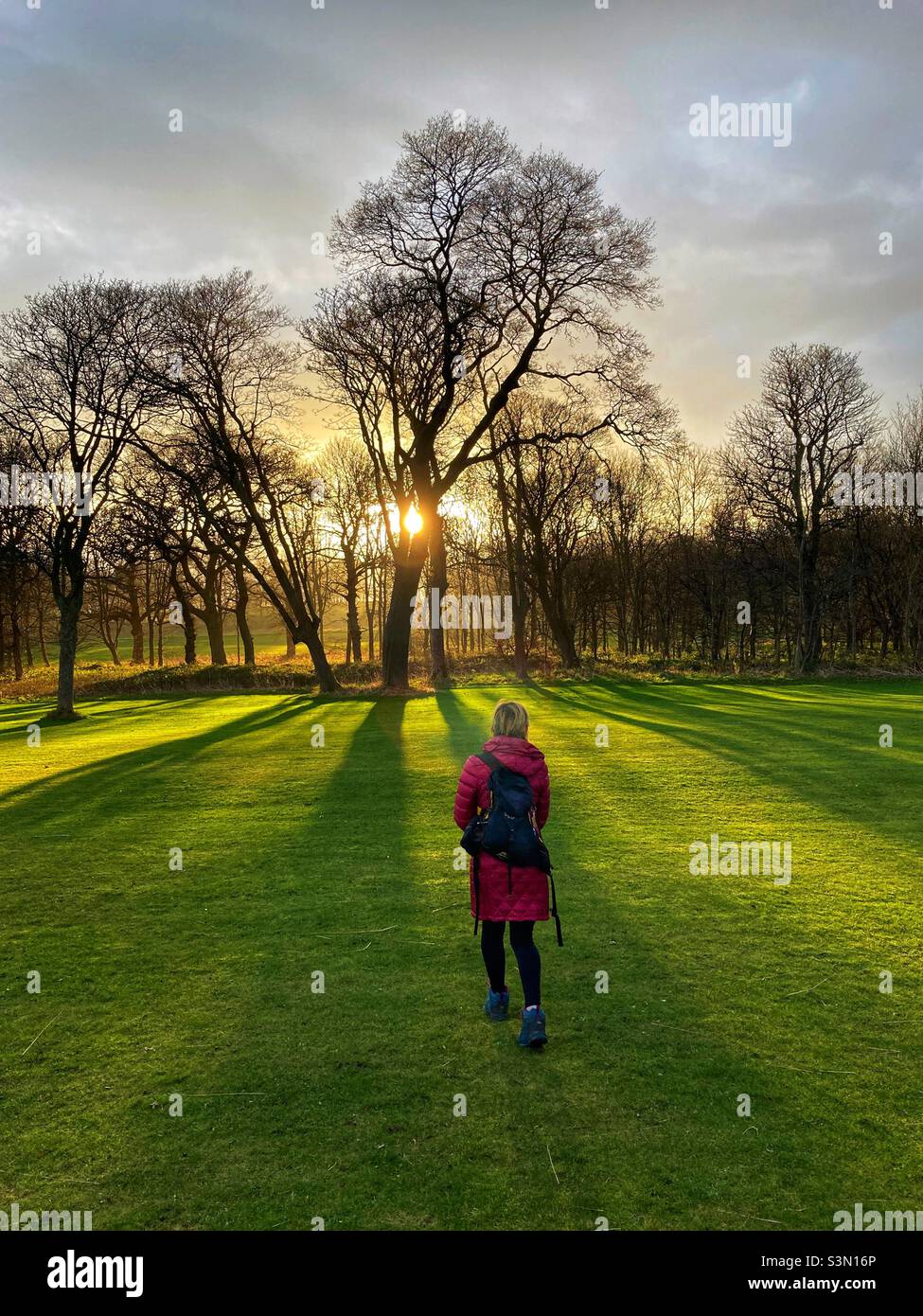 Woman walking towards the trees with low winter sun - Smartphone Captured Stock Image