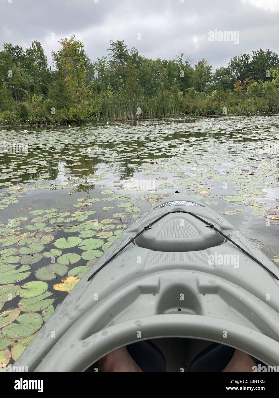 I nice day kayaking on Louborough Lake. - Smartphone Captured Stock Image
