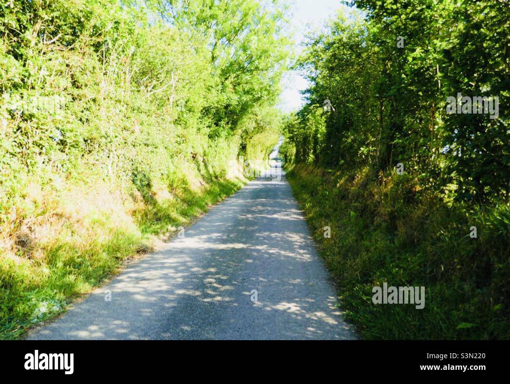 Country lane leading to a new start Stock Photo