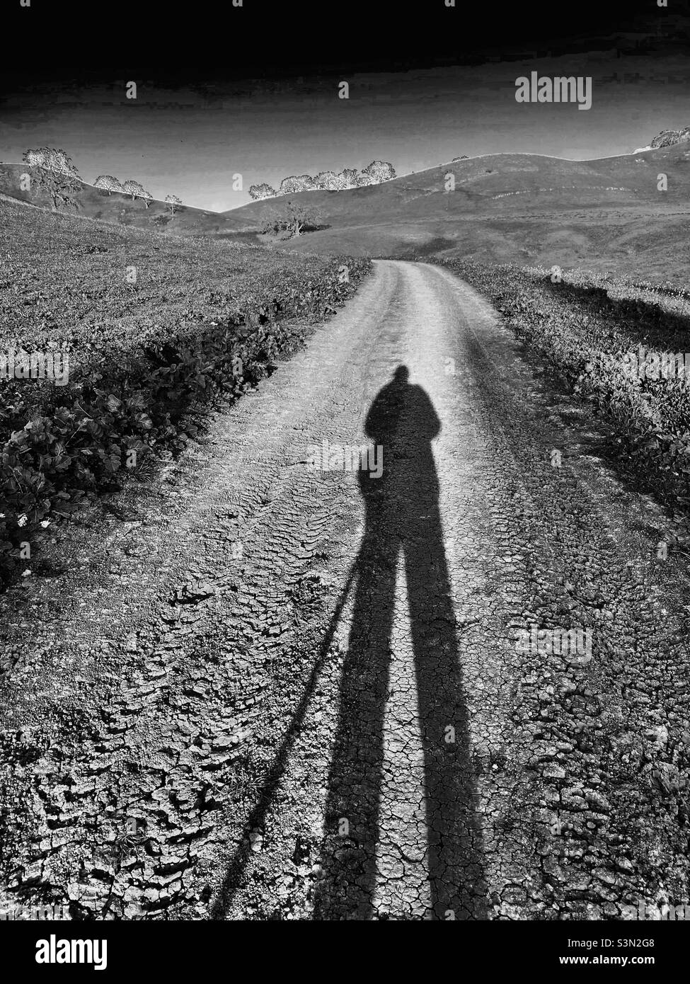 Shadow of hiker on trail by hills, in black and white - Smartphone Captured Stock Image