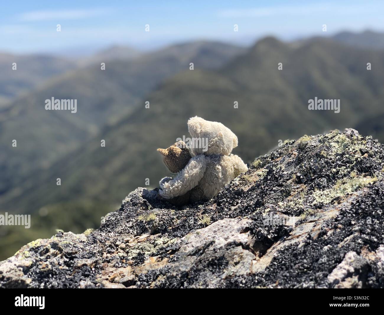 Looking forward together - Smartphone Captured Stock Image