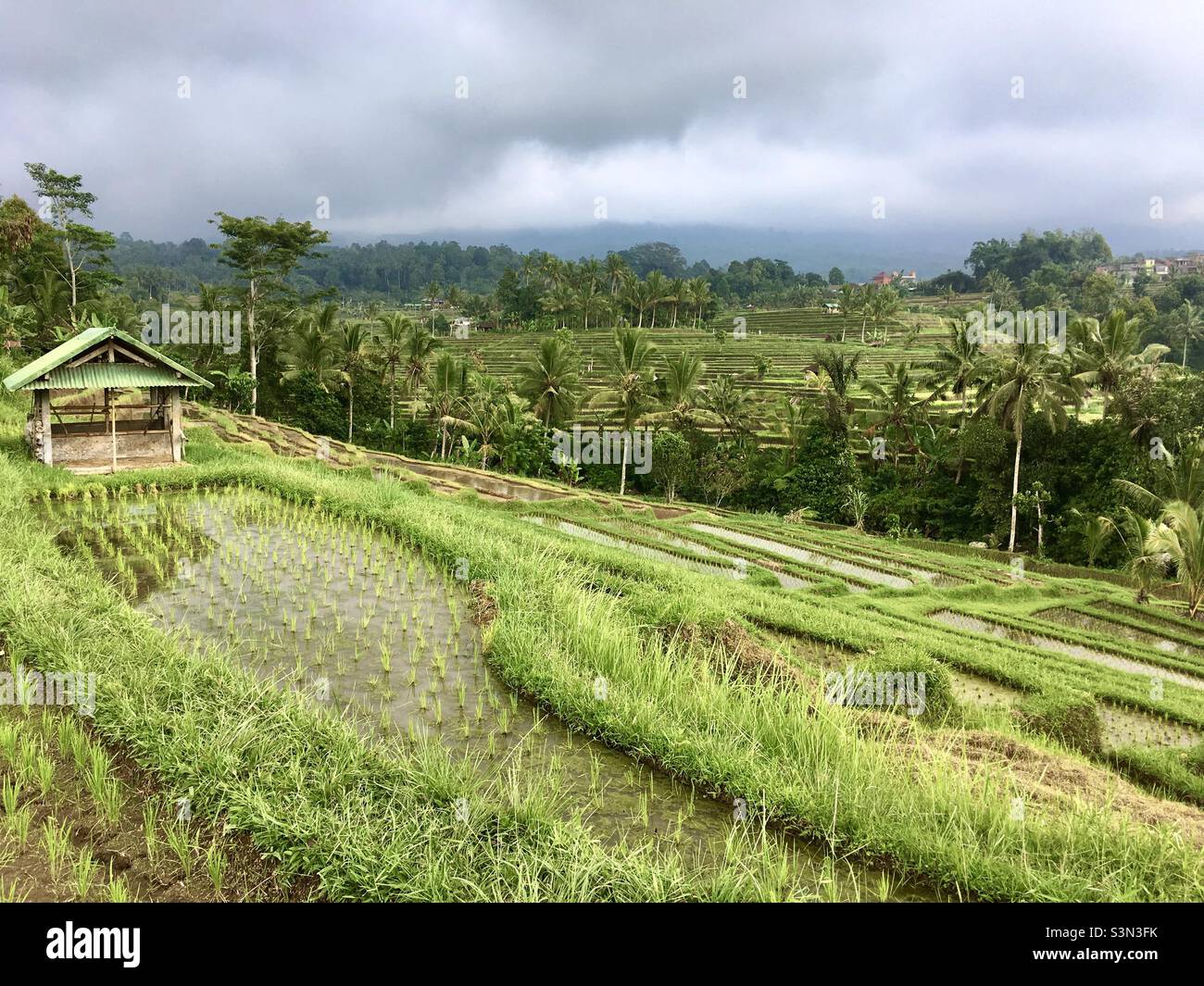 Bali hut hi-res stock photography and images - Alamy