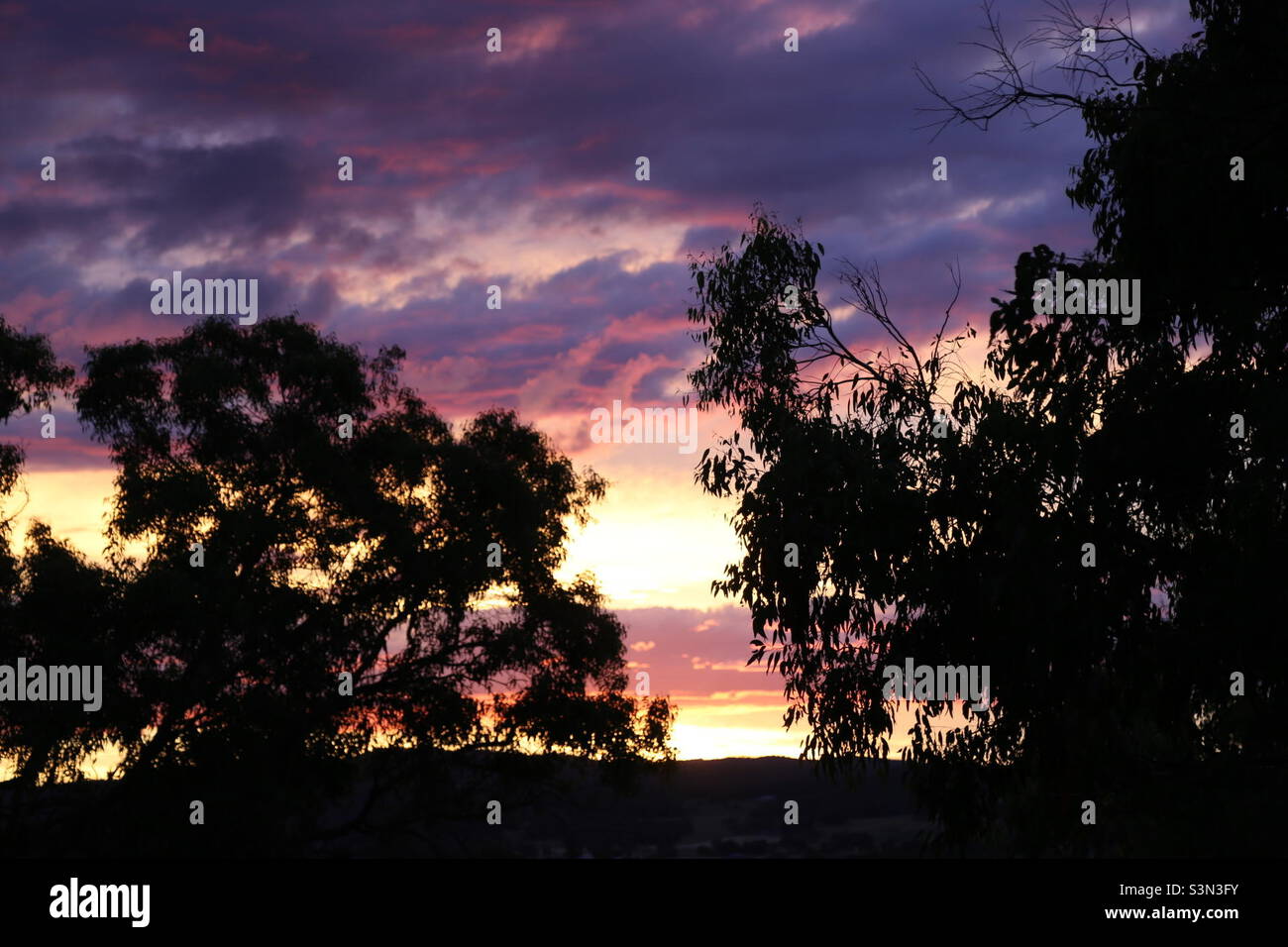 Sunset behind the trees Stock Photo