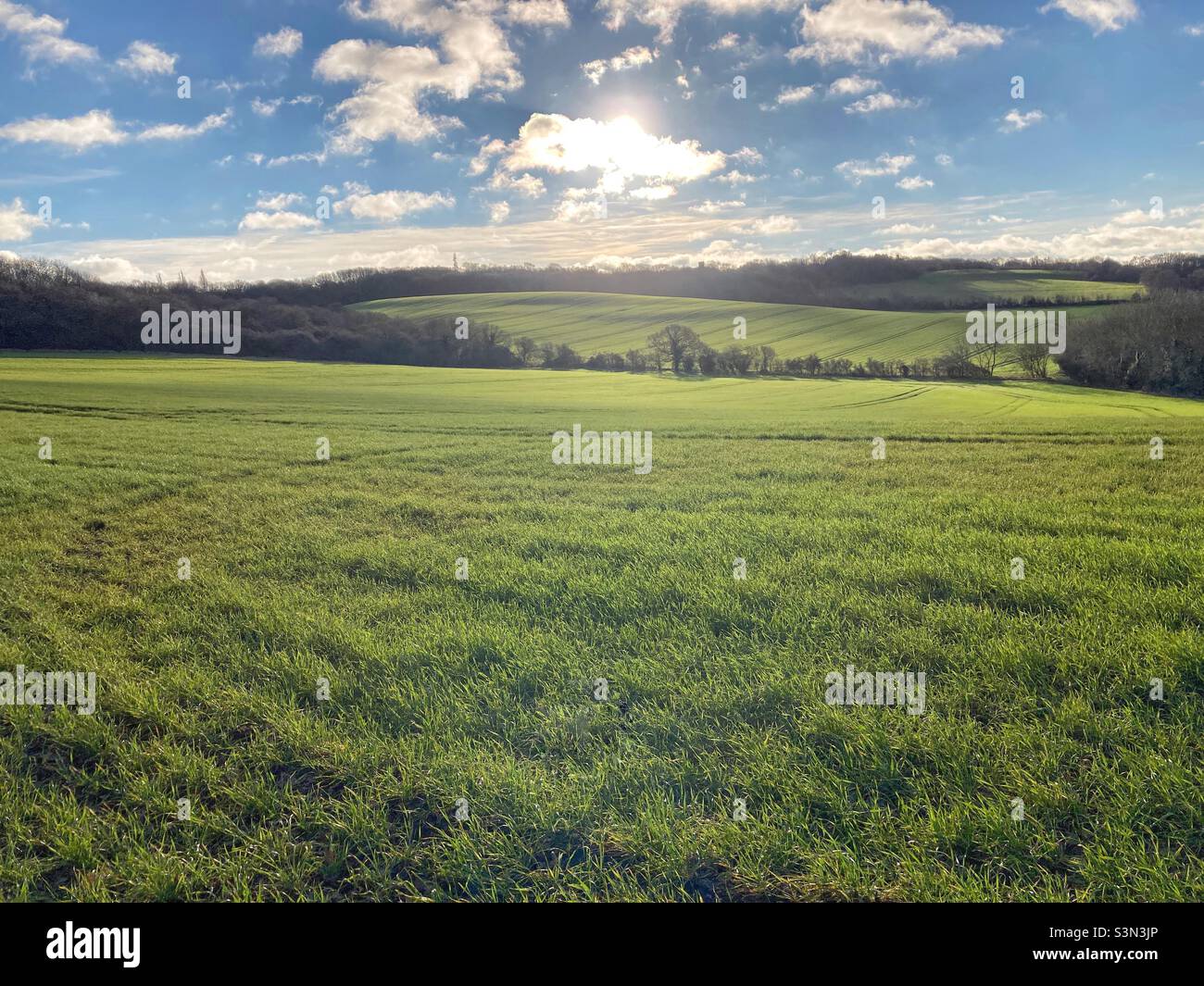Green fields and blue skies - Smartphone Captured Stock Image