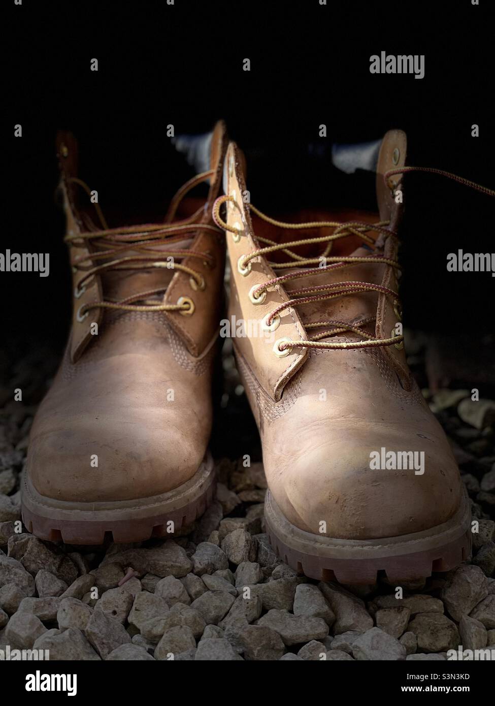 Timberlands hi-res stock photography and images - Alamy