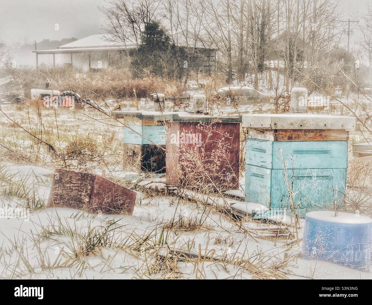 Bee hives in North Carolina snow - Smartphone Captured Stock Image