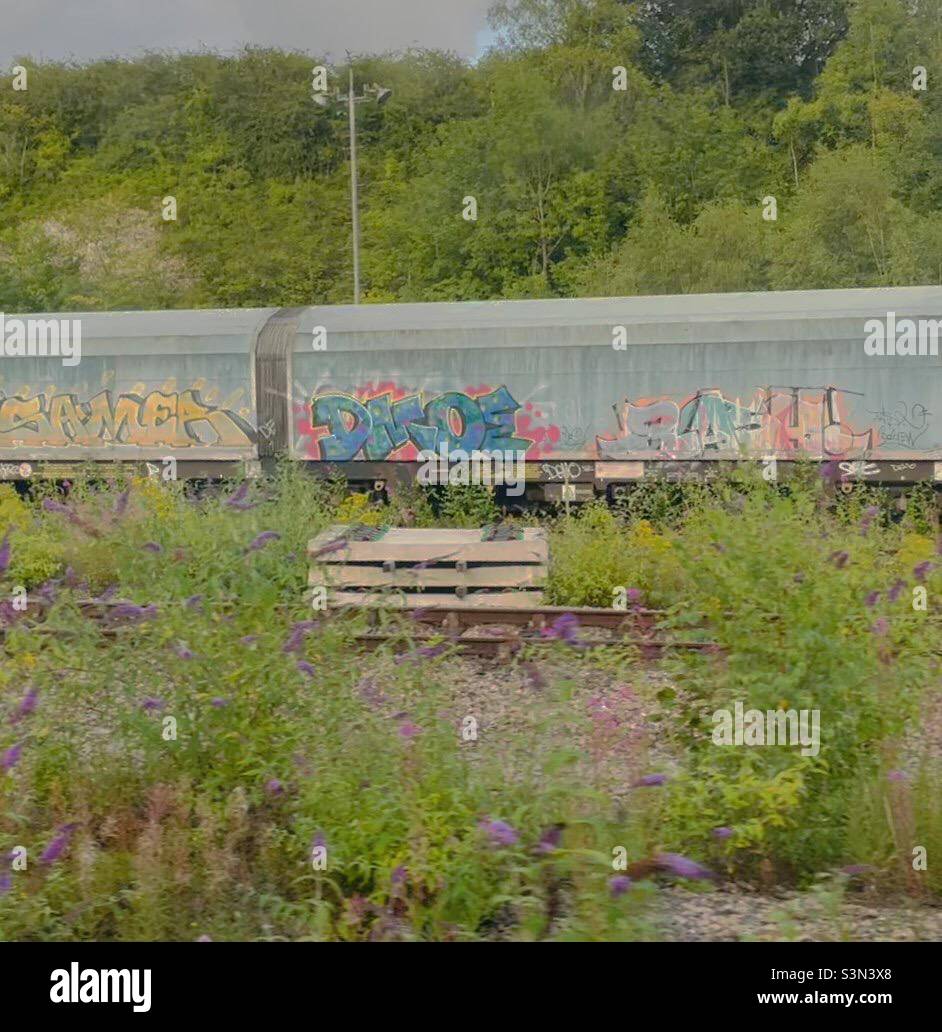 Graffiti on old train wagons surrounded by weeds. Stock Photo