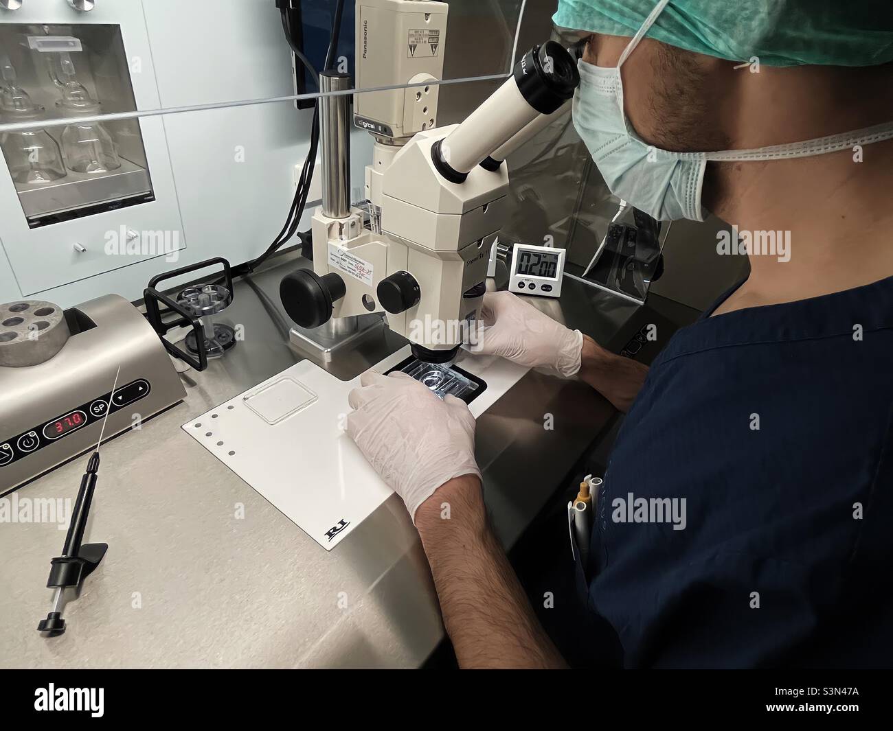 IVF scientist working in lab Stock Photo Alamy