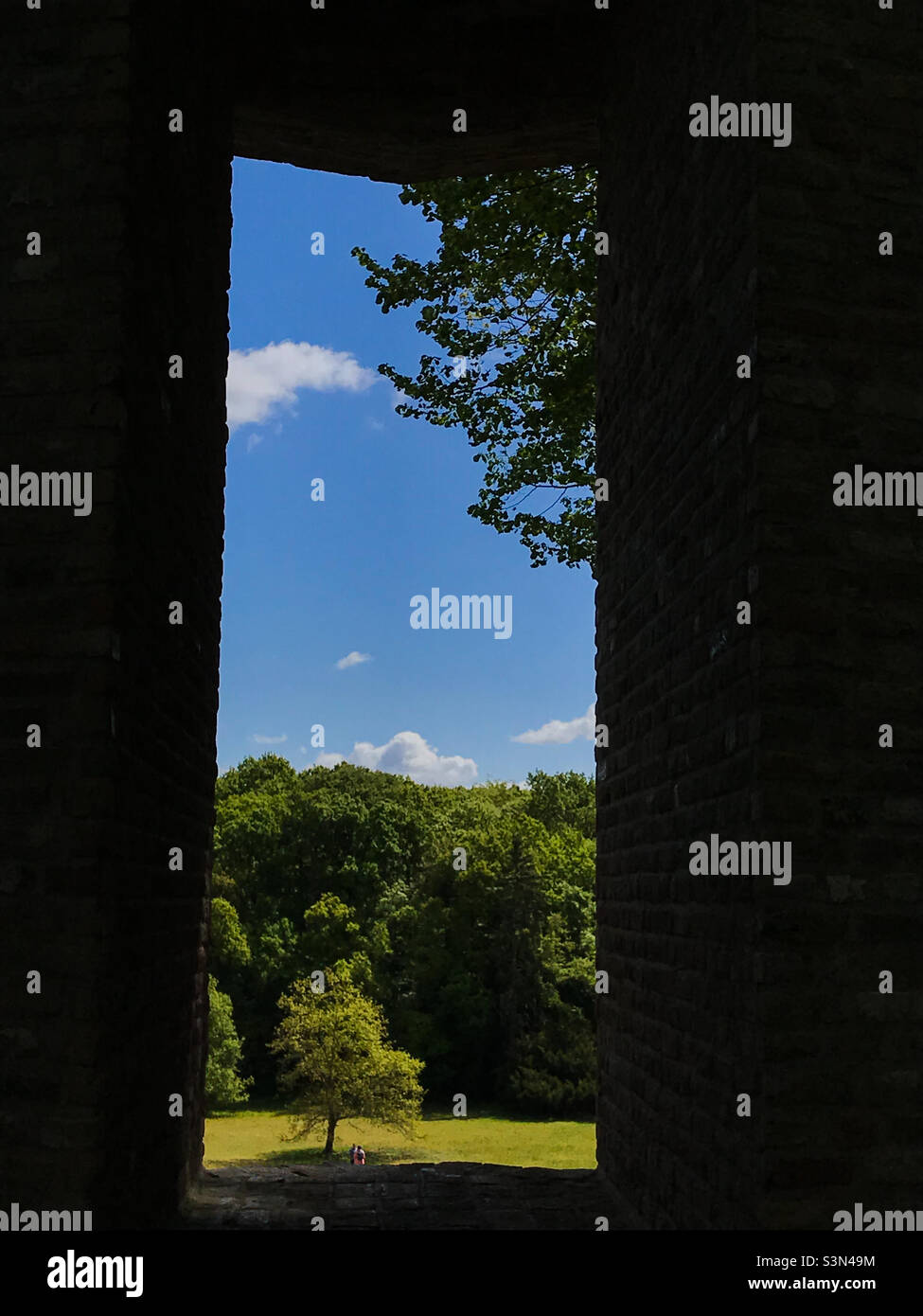 The tree behind the window - Smartphone Captured Stock Image