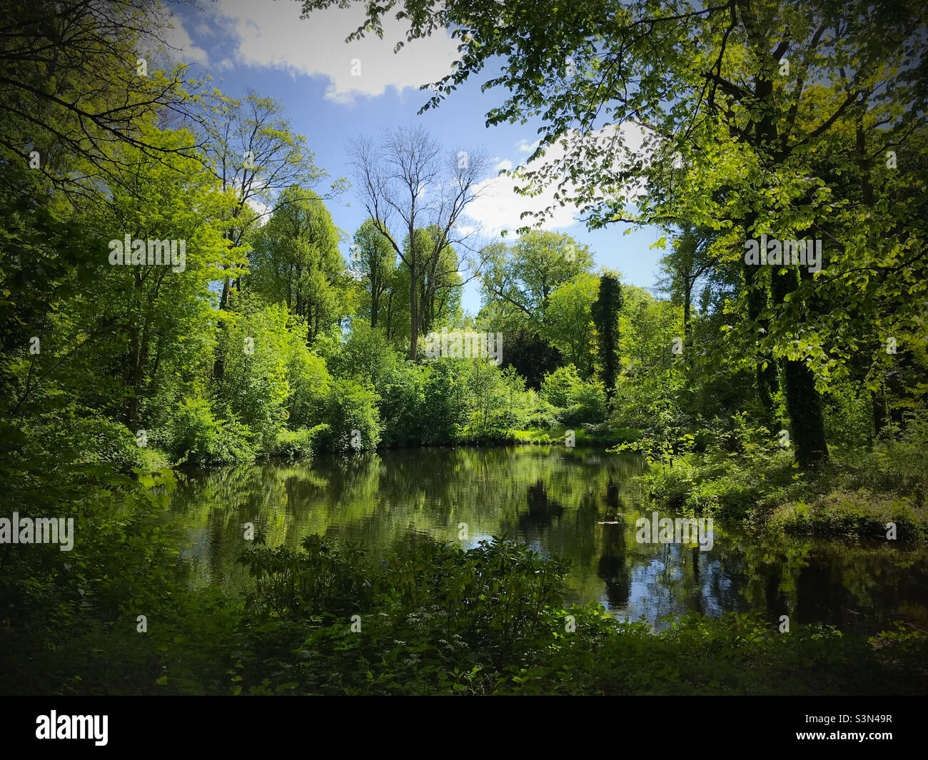 Paradise in the middle of nowhere - Smartphone Captured Stock Image